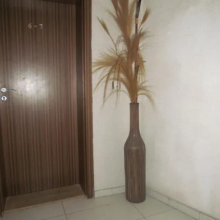 Guest house Dvata Bora 3*